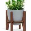 Promo 👍 Abbott Gray Ceramic Small Planter & Stand For Other ❤️