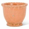 Cheapest 😀 Abbott Terracotta Ruffle Small Planter For Other 🎉 -Abbott Shop zu104064371 main tm1647368340