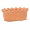 Best Pirce 🔥 Abbott Terracotta 10.5'' Scalloped Oval Planter For Other 🎁