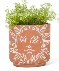 Brand new 😉 Abbott Terracotta Sun Face Medium Planter For Other ❤️