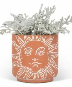 Wholesale 🧨 Abbott Terracotta Sun Face Small Planter For Other 🔔