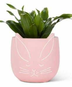 Deals 😍 Abbott Pink Small Bunny Planter For Other 😍