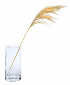 Best Pirce 🥰 Abbott Natural 36'' Pampas Grass Stem For Other 🔥