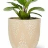 Best reviews of 😀 Abbott Beige Dot Chevron 4'' Planter For Other ⌛