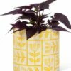 Promo 👏 Abbott White & Yellow Floral Grid Planter For Other 🔔