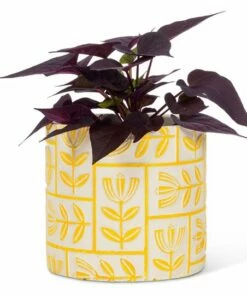 Promo 👏 Abbott White & Yellow Floral Grid Planter For Other 🔔