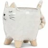 Wholesale 😀 Abbott White & Beige Cat Tail Planter For Other 🧨 -Abbott Shop zu107839500 main tm1659740229