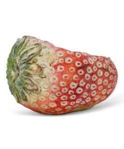 Budget 👍 Abbott Red & Green Strawberry Planter For Other ⭐