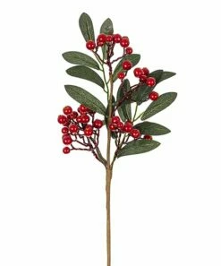 Discount 😀 Abbott Red & Green Small Glossy Berry Pick For Other 💯