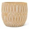 Hot Sale ✔️ Abbott Tan Textured Large Planter For Other 🥰