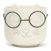 Best Pirce 🧨 Abbott Ivory Cat Face With Glasses Planter For Other ❤️