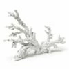 Hot Sale ✨ Abbott White 11.81'' Coral Branch Décor For Home & Garden 🧨 -Abbott Shop zu37853066 main tm1461268916
