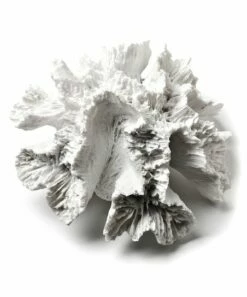 Budget 🛒 Abbott White 5.51'' Flower Coral Décor For Home & Garden ⭐