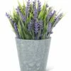 Best Sale 💯 Abbott Lavender Potted Arrangement For Home & Garden 🎁