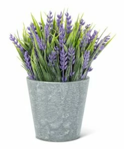 Best Sale 💯 Abbott Lavender Potted Arrangement For Home & Garden 🎁