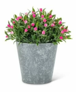 Coupon ✨ Abbott Pink Flowering Plant Potted Arrangement For Home & Garden 🌟