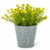 Buy 🔥 Abbott Yellow Flowering Plant Potted Arrangement For Home & Garden 🥰