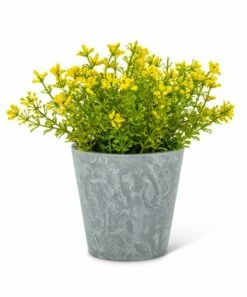 Buy 🔥 Abbott Yellow Flowering Plant Potted Arrangement For Home & Garden 🥰