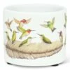 Best reviews of 🎁 Abbott White Hummingbird & Feather Ceramic Planter For Home & Garden 🌟