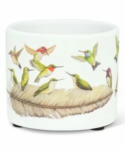 Best reviews of 🎁 Abbott White Hummingbird & Feather Ceramic Planter For Home & Garden 🌟