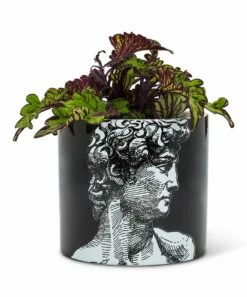Discount 💯 Abbott Black & Gray Apollo Planter For Other 👏 -Abbott Shop zu91025317 alt 3 tm1605971494
