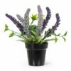 Cheap 🥰 Abbott Six-Head Lavender Potted Bunch For Home & Garden 🥰 -Abbott Shop zu91796507 main tm1608751595