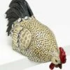 Flash Sale 🔥 Abbott Cream & Red Black Tail Edge Peering Rooster For Home & Garden ⭐ -Abbott Shop zu91798318 main tm1609187981