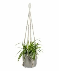 Deals 🌟 Abbott 34'' Beige Beaded Macramé Planter Hanger For Home & Garden 😉