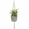Buy 🌟 Abbott 42'' Beige Beaded Fringe Macramé Planter Hanger For Home & Garden 💯