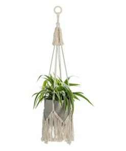 Top 10 🔥 Abbott 42'' Beige Braided Fringe Macramé Planter Hanger For Home & Garden 😉 -Abbott Shop zu92397703 alt 4 tm1611001753