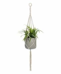 Top 10 🔥 Abbott 42'' Beige Braided Fringe Macramé Planter Hanger For Home & Garden 😉