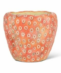 Outlet 👍 Abbott Red & White Strawberry Planter For Other 🎁
