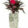 Coupon 🤩 Abbott Green & White Floral Vase For Home & Garden 🌟 -Abbott Shop zu95252768 main tm1619707368