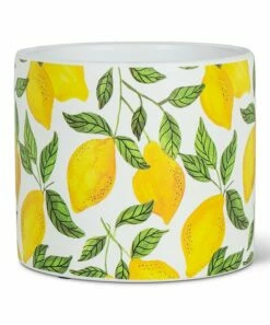Buy 🤩 Abbott White & Yellow Sunny Lemons Small Planter For Other 😉