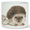 Coupon 💯 Abbott White & Beige Hedgehog Family Planter For Home & Garden 🎁 -Abbott Shop zu95419015 main tm1622297869