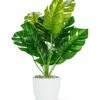 Best Sale ❤️ Abbott Green Monsterra Plant Arrangement For Other ✔️ -Abbott Shop zu95712247 main tm1621621115