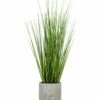 Promo 👏 Abbott Green Tall Grass Pot Arrangement For Other 😉 -Abbott Shop zu95712248 main tm1621621115