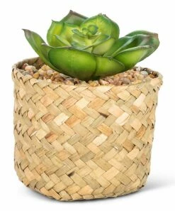 Top 10 ✔️ Abbott Green Sedeveria Succulent & Tan Woven Basket For Home & Garden 🥰