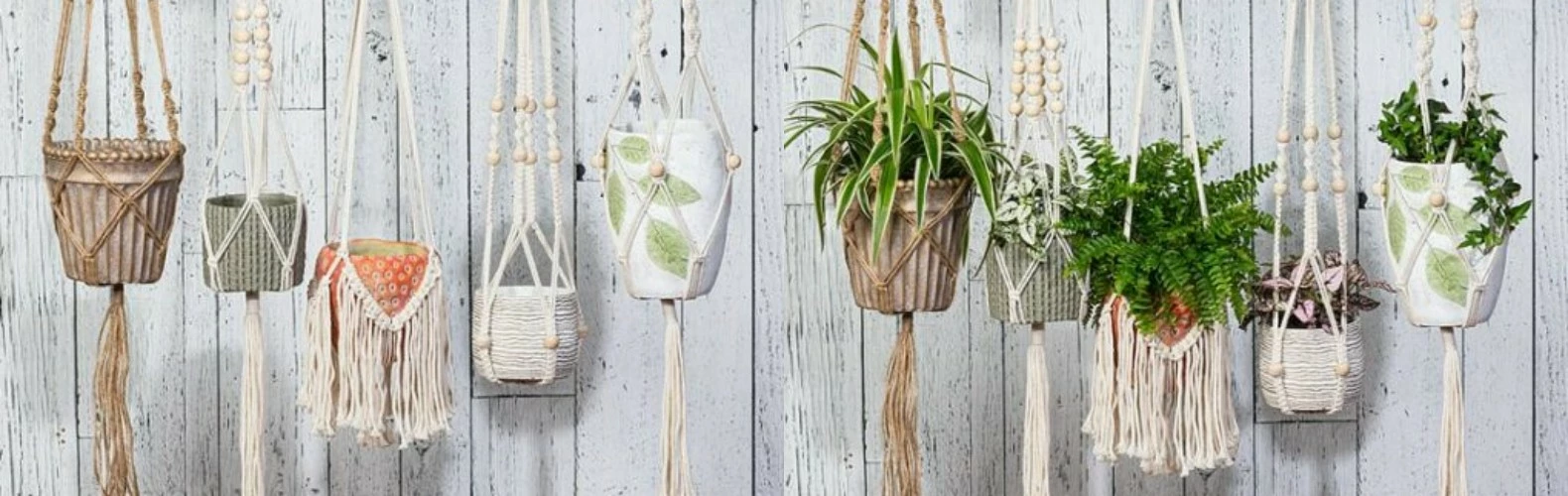 Abbott Shop -Abbott Shop 42 副本 副本